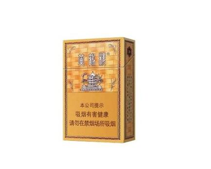国外烟花节2024